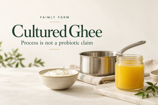 AI-generated editorial illustration of curd, a saucepan and an unbranded ghee jar, distinguishing a cultured process from a probiotic claim.
