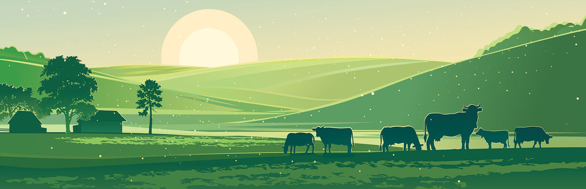 Faimly Farm 