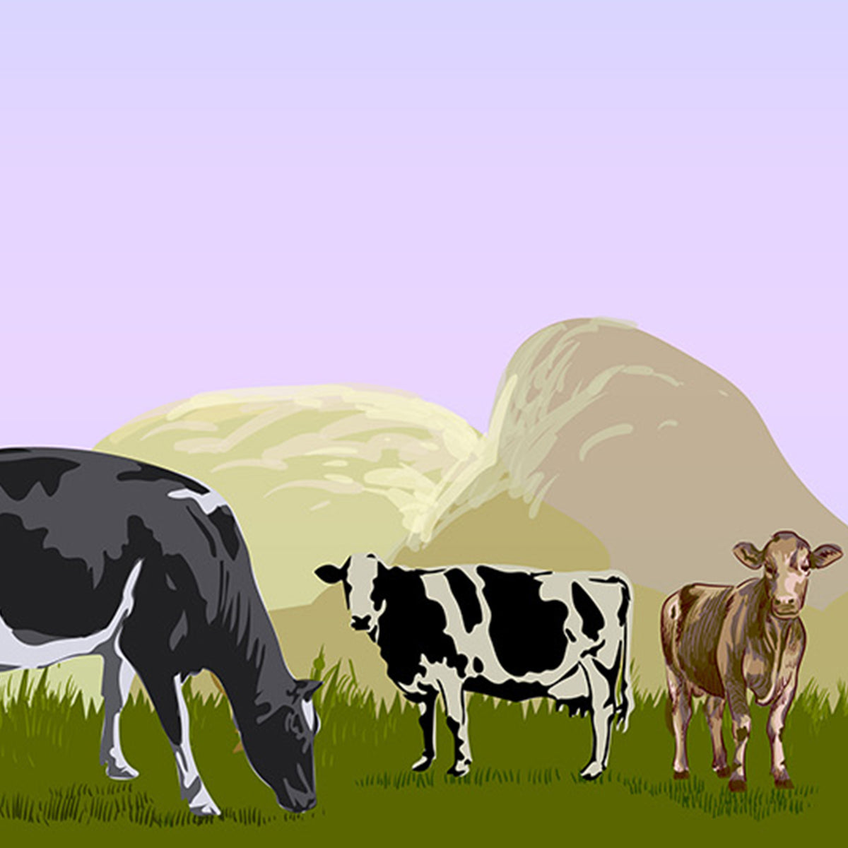 Faimly Farm 